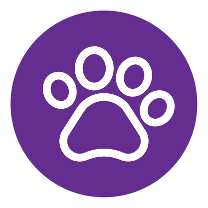 Mascotas